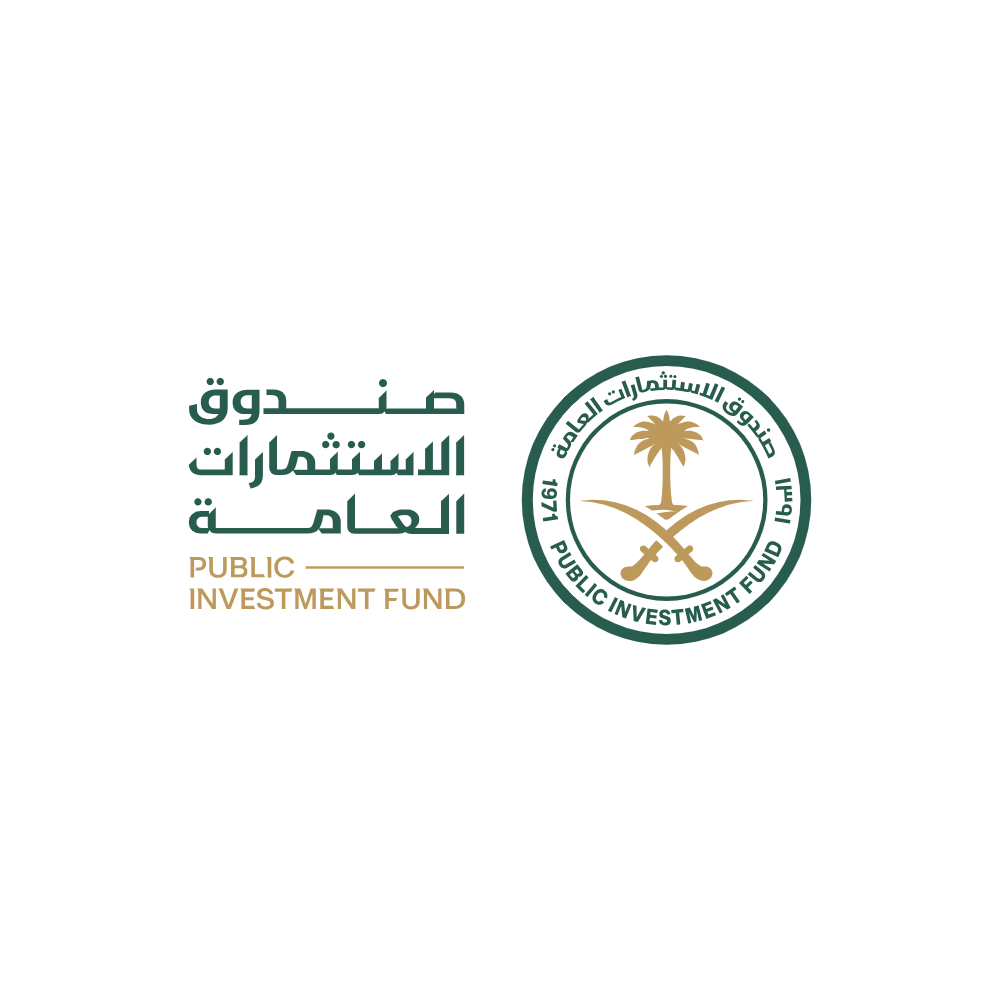 صندوق الاستثمارات العامه