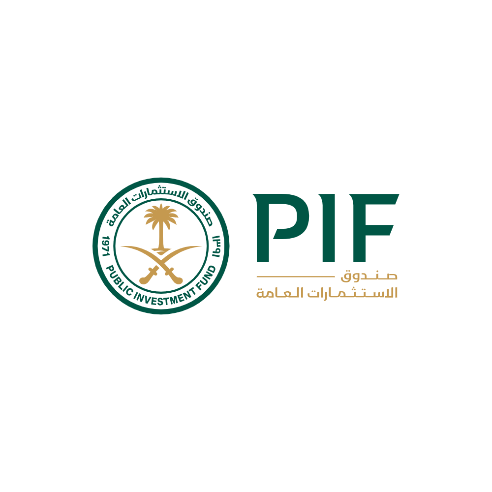 Public Investment Fund 03